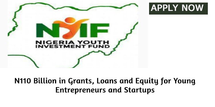 Apply Now : Nigeria Youth Investment Fund ( N110 Billion in Grants, Loans and Equity for Young Entrepreneurs and Startups)